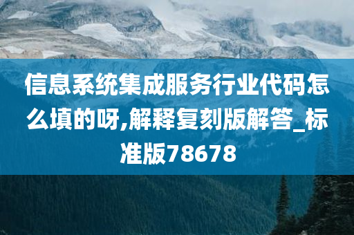 信息系统集成服务行业代码怎么填的呀,解释复刻版解答_标准版78678