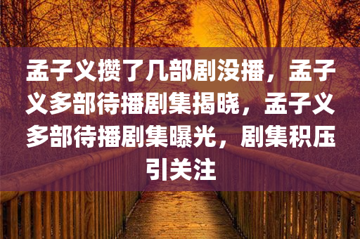 孟子义攒了几部剧没播，孟子义多部待播剧集揭晓，孟子义多部待播剧集曝光，剧集积压引关注