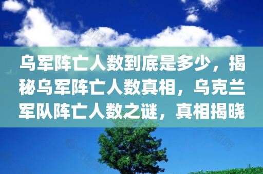 乌军阵亡人数到底是多少，揭秘乌军阵亡人数真相，乌克兰军队阵亡人数之谜，真相揭晓