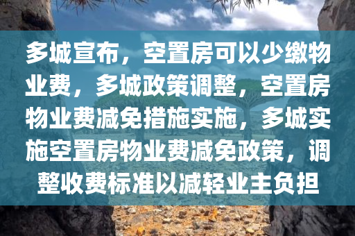 多城宣布，空置房可以少缴物业费，多城政策调整，空置房物业费减免措施实施，多城实施空置房物业费减免政策，调整收费标准以减轻业主负担