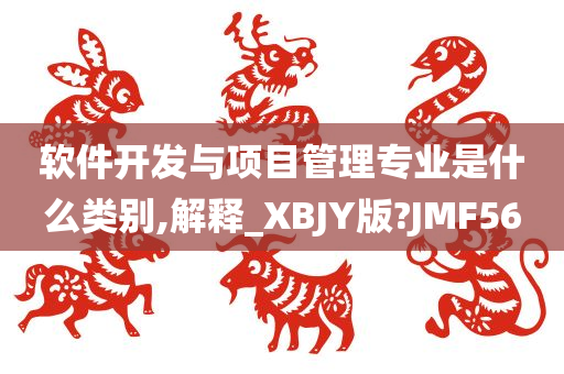 软件开发与项目管理专业是什么类别,解释_XBJY版?JMF56