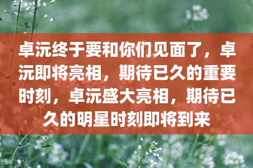 卓沅终于要和你们见面了，卓沅即将亮相，期待已久的重要时刻，卓沅盛大亮相，期待已久的明星时刻即将到来