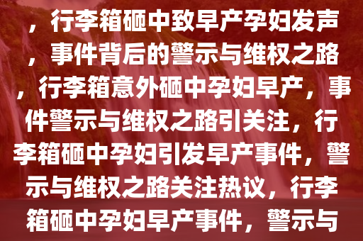 被行李箱砸中致早产孕妇发声，行李箱砸中致早产孕妇发声，事件背后的警示与维权之路，行李箱意外砸中孕妇早产，事件警示与维权之路引关注，行李箱砸中孕妇引发早产事件，警示与维权之路关注热议，行李箱砸中孕妇早产事件，警示与维权之路引热议