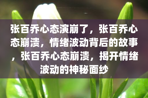 张百乔心态演崩了，张百乔心态崩溃，情绪波动背后的故事，张百乔心态崩溃，揭开情绪波动的神秘面纱