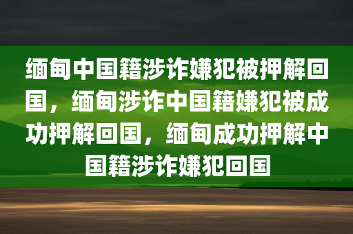 2025年2月21日 第10页