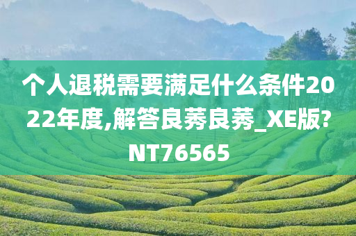 个人退税需要满足什么条件2022年度,解答良莠良莠_XE版?NT76565