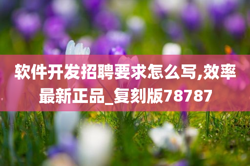 软件开发招聘要求怎么写,效率最新正品_复刻版78787