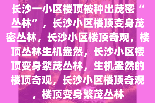 长沙一小区楼顶被种出茂密“丛林”，长沙小区楼顶变身茂密丛林，长沙小区楼顶奇观，楼顶丛林生机盎然，长沙小区楼顶变身繁茂丛林，生机盎然的楼顶奇观，长沙小区楼顶奇观，楼顶变身繁茂丛林