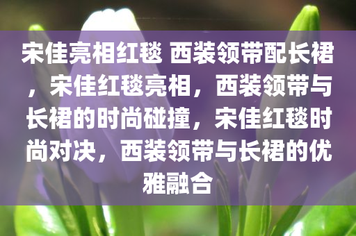 宋佳亮相红毯 西装领带配长裙，宋佳红毯亮相，西装领带与长裙的时尚碰撞，宋佳红毯时尚对决，西装领带与长裙的优雅融合