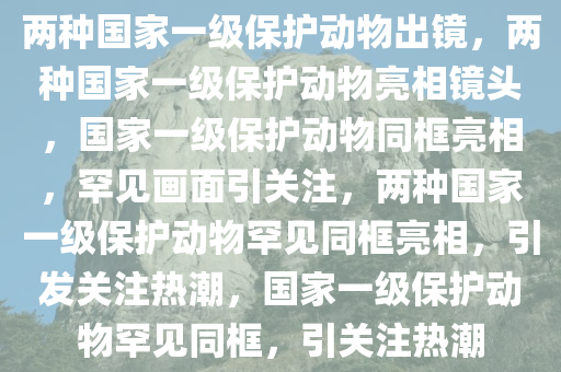 两种国家一级保护动物出镜，两种国家一级保护动物亮相镜头，国家一级保护动物同框亮相，罕见画面引关注，两种国家一级保护动物罕见同框亮相，引发关注热潮，国家一级保护动物罕见同框，引关注热潮