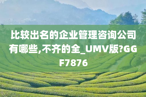 比较出名的企业管理咨询公司有哪些,不齐的全_UMV版?GGF7876