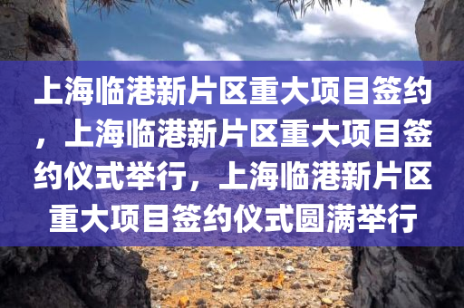 上海临港新片区重大项目签约，上海临港新片区重大项目签约仪式举行，上海临港新片区重大项目签约仪式圆满举行