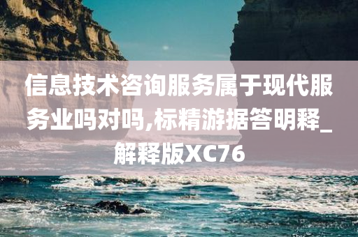 信息技术咨询服务属于现代服务业吗对吗,标精游据答明释_解释版XC76