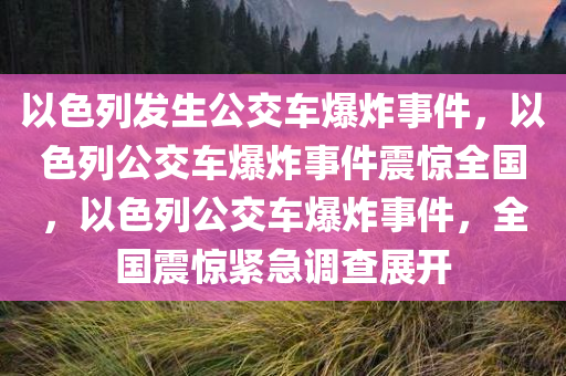 以色列发生公交车爆炸事件，以色列公交车爆炸事件震惊全国，以色列公交车爆炸事件，全国震惊紧急调查展开