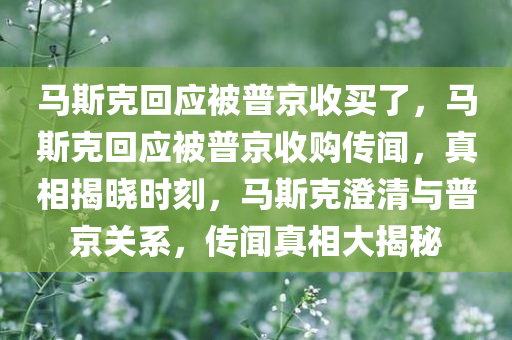 马斯克回应被普京收买了，马斯克回应被普京收购传闻，真相揭晓时刻，马斯克澄清与普京关系，传闻真相大揭秘