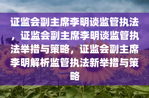 证监会副主席李明谈监管执法，证监会副主席李明谈监管执法举措与策略，证监会副主席李明解析监管执法新举措与策略