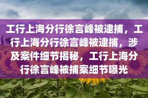 工行上海分行徐言峰被逮捕，工行上海分行徐言峰被逮捕，涉及案件细节揭秘，工行上海分行徐言峰被捕案细节曝光