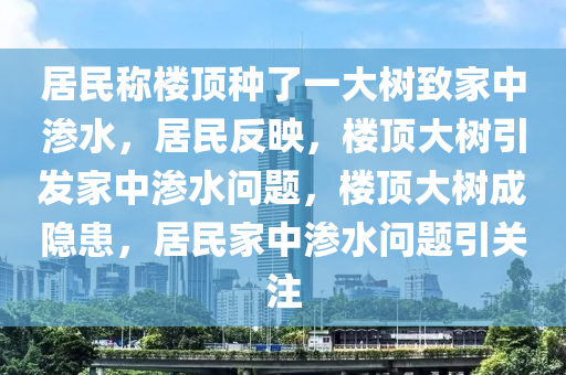 居民称楼顶种了一大树致家中渗水，居民反映，楼顶大树引发家中渗水问题，楼顶大树成隐患，居民家中渗水问题引关注