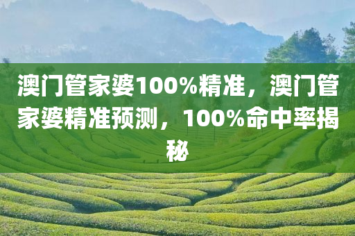 澳门管家婆100%精准，澳门管家婆精准预测，100%命中率揭秘