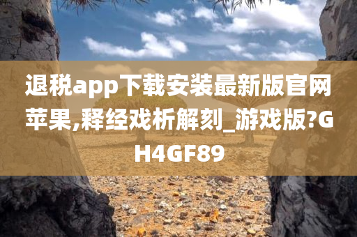 退税app下载安装最新版官网苹果,释经戏析解刻_游戏版?GH4GF89