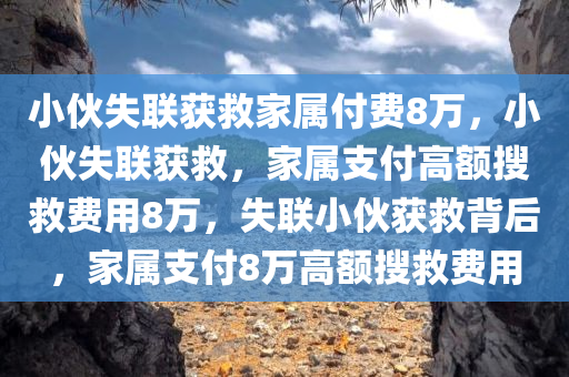 小伙失联获救家属付费8万，小伙失联获救，家属支付高额搜救费用8万，失联小伙获救背后，家属支付8万高额搜救费用