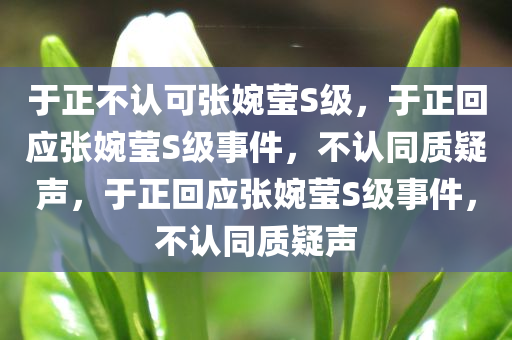 于正不认可张婉莹S级，于正回应张婉莹S级事件，不认同质疑声，于正回应张婉莹S级事件，不认同质疑声