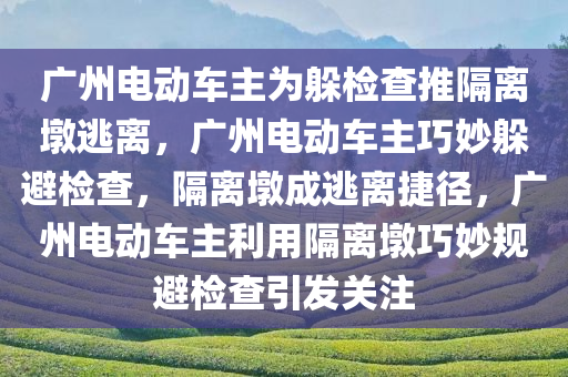 广州电动车主为躲检查推隔离墩逃离，广州电动车主巧妙躲避检查，隔离墩成逃离捷径，广州电动车主利用隔离墩巧妙规避检查引发关注