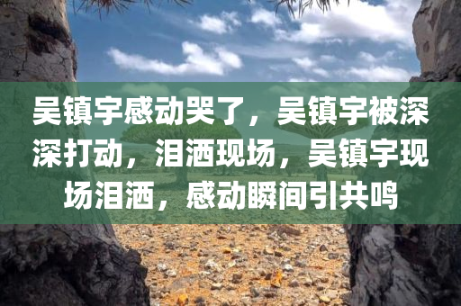 吴镇宇感动哭了，吴镇宇被深深打动，泪洒现场，吴镇宇现场泪洒，感动瞬间引共鸣