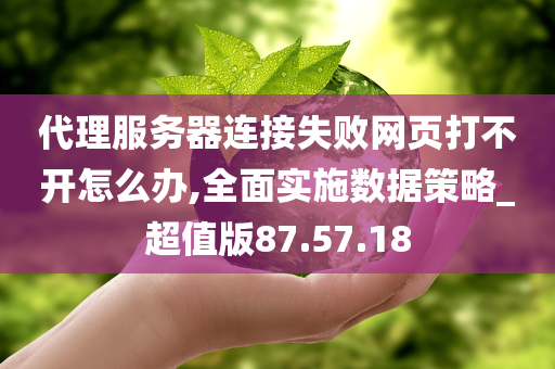 代理服务器连接失败网页打不开怎么办,全面实施数据策略_超值版87.57.18