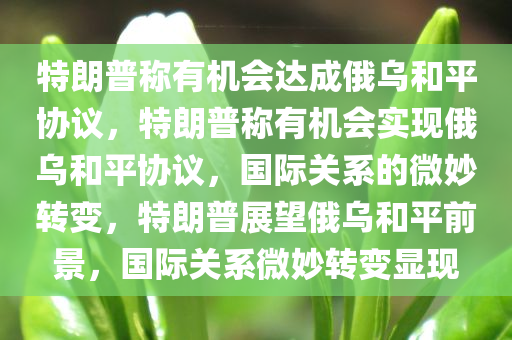 特朗普称有机会达成俄乌和平协议，特朗普称有机会实现俄乌和平协议，国际关系的微妙转变，特朗普展望俄乌和平前景，国际关系微妙转变显现