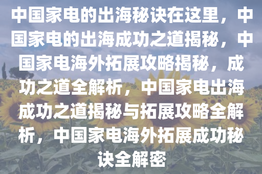 中国家电的出海秘诀在这里，中国家电的出海成功之道揭秘，中国家电海外拓展攻略揭秘，成功之道全解析，中国家电出海成功之道揭秘与拓展攻略全解析，中国家电海外拓展成功秘诀全解密