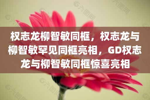 权志龙柳智敏同框，权志龙与柳智敏罕见同框亮相，GD权志龙与柳智敏同框惊喜亮相