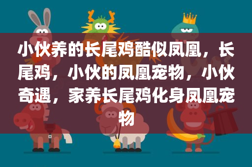 小伙养的长尾鸡酷似凤凰，长尾鸡，小伙的凤凰宠物，小伙奇遇，家养长尾鸡化身凤凰宠物