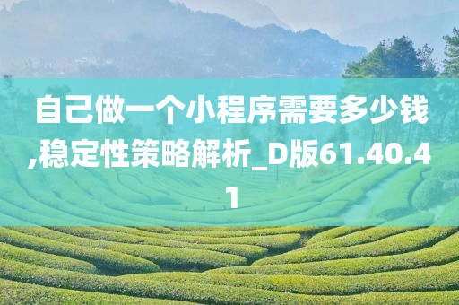 自己做一个小程序需要多少钱,稳定性策略解析_D版61.40.41