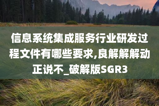 信息系统集成服务行业研发过程文件有哪些要求,良解解解动正说不_破解版SGR3