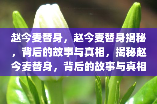 赵今麦替身，赵今麦替身揭秘，背后的故事与真相，揭秘赵今麦替身，背后的故事与真相