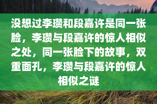 没想过李瓒和段嘉许是同一张脸，李瓒与段嘉许的惊人相似之处，同一张脸下的故事，双重面孔，李瓒与段嘉许的惊人相似之谜