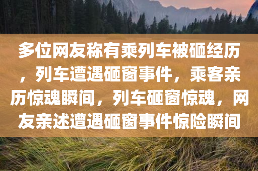 多位网友称有乘列车被砸经历，列车遭遇砸窗事件，乘客亲历惊魂瞬间，列车砸窗惊魂，网友亲述遭遇砸窗事件惊险瞬间