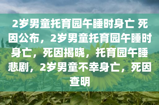 2岁男童托育园午睡时身亡 死因公布，2岁男童托育园午睡时身亡，死因揭晓，托育园午睡悲剧，2岁男童不幸身亡，死因查明