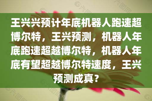 王兴兴预计年底机器人跑速超博尔特，王兴预测，机器人年底跑速超越博尔特，机器人年底有望超越博尔特速度，王兴预测成真？