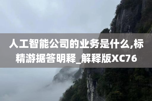 人工智能公司的业务是什么,标精游据答明释_解释版XC76