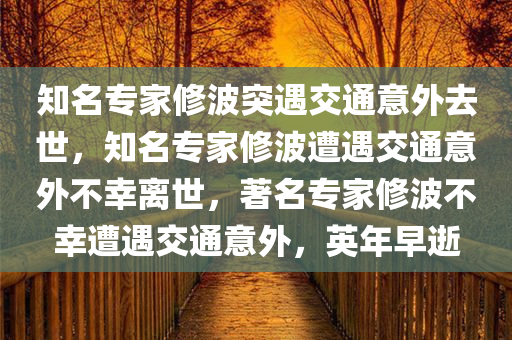 知名专家修波突遇交通意外去世，知名专家修波遭遇交通意外不幸离世，著名专家修波不幸遭遇交通意外，英年早逝