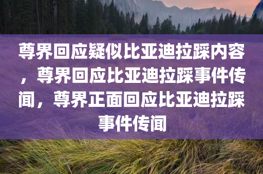 尊界回应疑似比亚迪拉踩内容，尊界回应比亚迪拉踩事件传闻，尊界正面回应比亚迪拉踩事件传闻