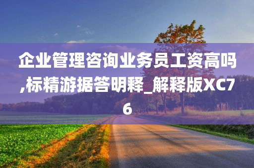 企业管理咨询业务员工资高吗,标精游据答明释_解释版XC76