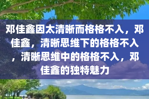 邓佳鑫因太清晰而格格不入，邓佳鑫，清晰思维下的格格不入，清晰思维中的格格不入，邓佳鑫的独特魅力