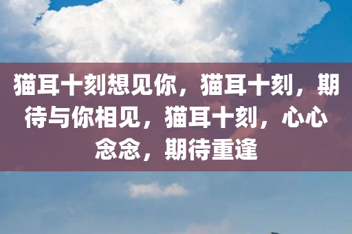 猫耳十刻想见你，猫耳十刻，期待与你相见，猫耳十刻，心心念念，期待重逢