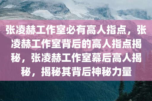 张凌赫工作室必有高人指点，张凌赫工作室背后的高人指点揭秘，张凌赫工作室幕后高人揭秘，揭秘其背后神秘力量