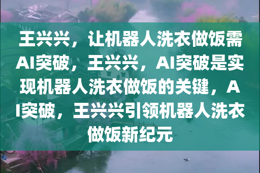 王兴兴，让机器人洗衣做饭需AI突破，王兴兴，AI突破是实现机器人洗衣做饭的关键，AI突破，王兴兴引领机器人洗衣做饭新纪元