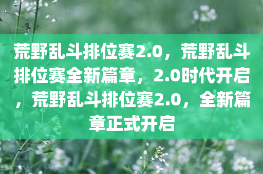 荒野乱斗排位赛2.0，荒野乱斗排位赛全新篇章，2.0时代开启，荒野乱斗排位赛2.0，全新篇章正式开启