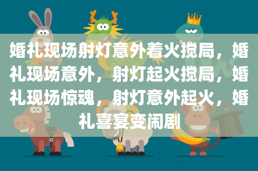 婚礼现场射灯意外着火搅局，婚礼现场意外，射灯起火搅局，婚礼现场惊魂，射灯意外起火，婚礼喜宴变闹剧